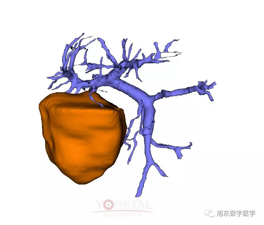 309.png